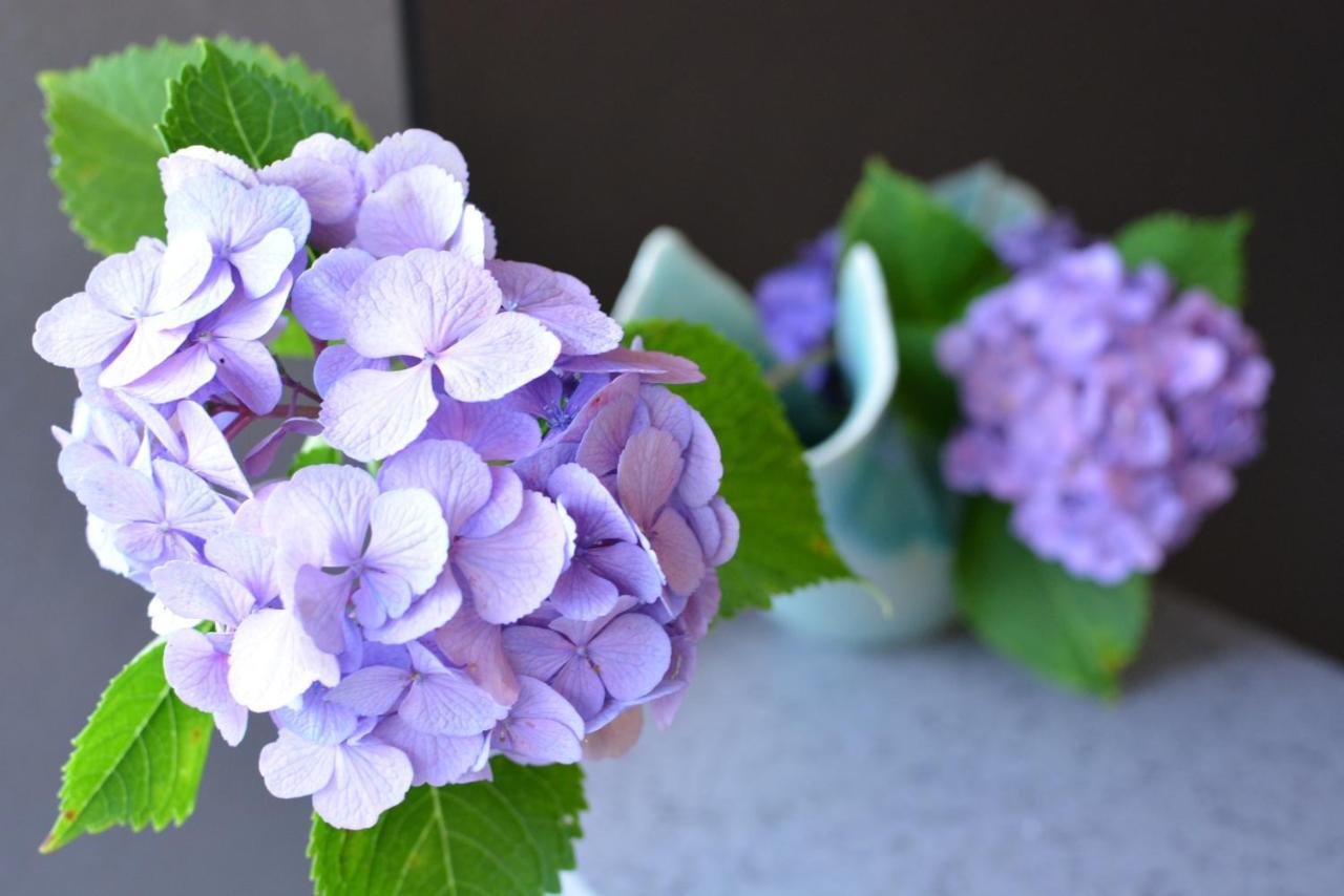 Hotel Shirahama No Yado Daigo Zewnętrze zdjęcie